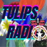 Tulips Radio