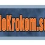 Radio Krokom - 90.2 FM