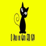 O Pulo do Gato FM