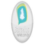 Barcelos na Net