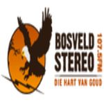 Bosveld Stereo