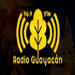 Radio Guayacán FM