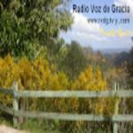 Radio Voz de Gracia - Puerto Rico