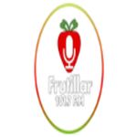Radio FM Frutillar