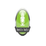 Estilo Radio