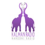 Kalman radio
