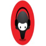 Expansion Radial Radio