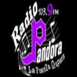 Radio Pandora 103.9 FM