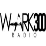 W-ARK 300