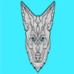 Coyote New Country 103.3 HD2