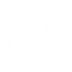 Star*Sat Radio